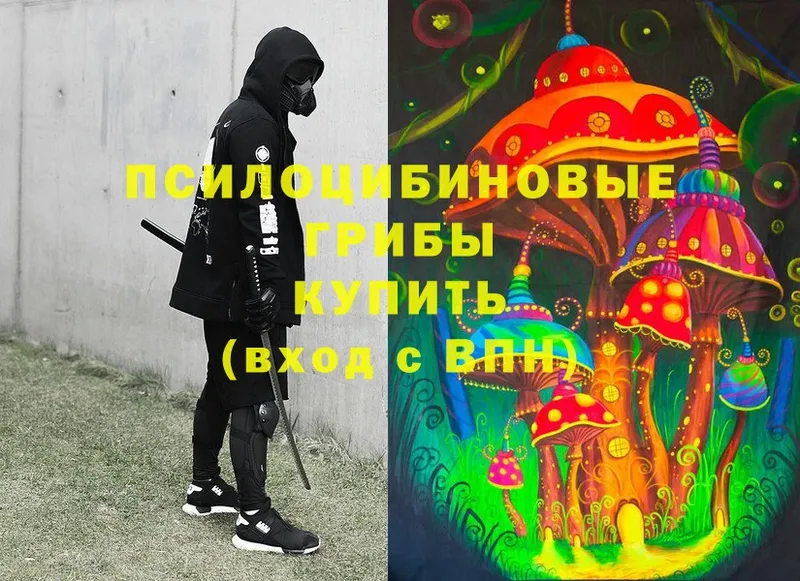 Псилоцибиновые грибы Magic Shrooms  что такое   Билибино 